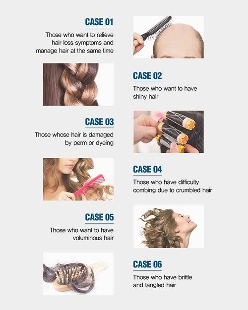 DASHU Daily Hair Protein for Hair Fall 16.9 fl oz | Hair Cream for Dry Damaged Hair | Hair Softener for Coarse Hair with Hydrolyzed Wheat Protein