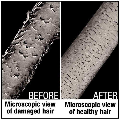 AGADIR Hair Shield 450 Spray Treatment, 6.7 Fl Oz