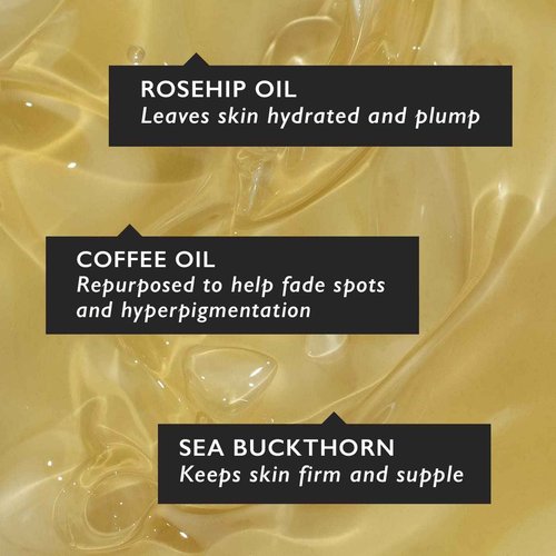 UpCircle Organic Face Serum With Coffee Oil 1oz - Vitamin C, Rosehip Oil Fades Dark Spots + Sea Buckthorn Keeps Skin Supple - Natural Hydrating Facial Oil - Vegan + Cruelty-Free