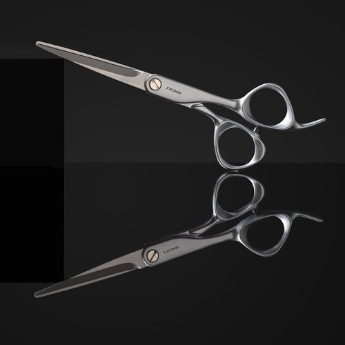 Fromm Transform 5.75" Extra Smooth Hair Cutting Shears for Wet and Dry Hair, Polished Silver Japanese Steel Scissors with Beveled Blade