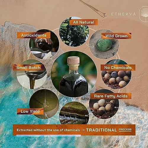 Tamanu Oil | No Chemicals | Natural Scent | Unrefined, Raw, Cold Pressed, Solidifies in Winter | Wild Grown Organic Indian Origin | DIY Face, Body, Scalp & Hair | Aluminium Bottle 20.9 Fl Oz