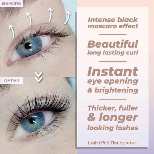 MIYA LASH Lift & Brow Lamination Kit | Black, Voluminous Eyebrows & Eyelashes Color | Professional 8 Weeks Result | LVL, Perm, Laminate | Keratin Brow & Lash Kit With All Tools
