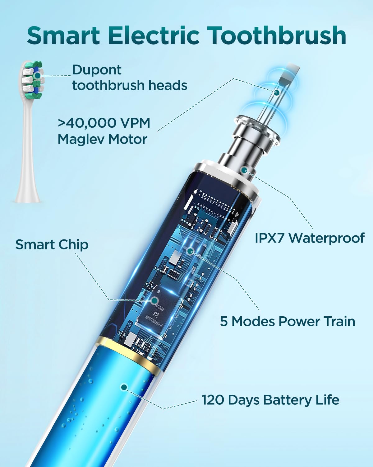 Rtauys S5 Sonic Electric Toothbrush for Adults with 8 Brush Heads, IPX7 Travel Electric Toothbrush with Travel Case, 2.5 Hours Charge for 120 Days, 5 Modes with 2 Minutes Built in Smart Timer White