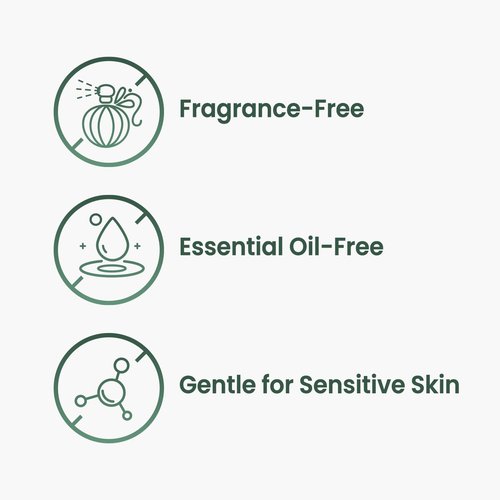 The Skin House Plum & Panthenol Calming Moisturizer for Sensitive Skin | Redness Relief, Soothing Hydration & Barrier Support | Lightweight, Non-Irritating Daily Face Cream [70ml,2.37 oz]