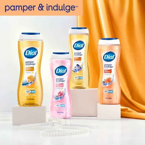 Dial Body Wash, Pamper & Indulge, Silk & Seaberry, 21 fl oz, Pack of 4