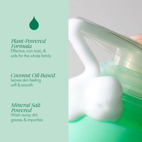 Safely Foaming Hand Soap – Rise 6-Pack, Moisturizing Liquid Hand Soap With Coconut Conditioning, Leaves Skin Soft And Smooth, Removes Dirt, Grease, and Impurities, 10 Fl Oz Each