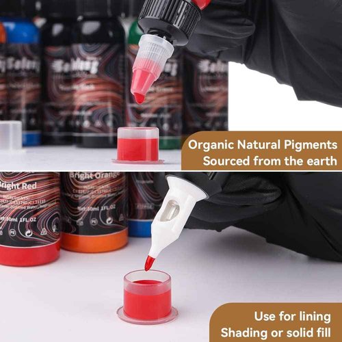 16PCS Tattoo Ink Color Set, Solong Tattoo Ink 1oz (30ml) Pigment Kit for Tattoo Kit Tattoo Ink Set TI302S-30-16