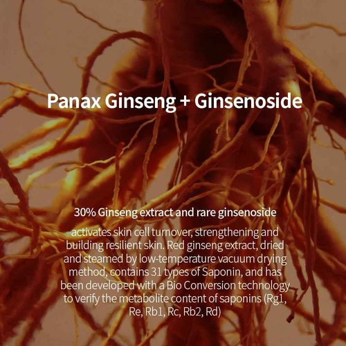 Fraijour Alchemic Ginsenoside Watery Essence – Revitalizing Essence with Ginseng & 11 Fermented Extracts, Balances Skin, Boosts Elasticity & Glow, Anti-Aging, 8.45 fl. oz.