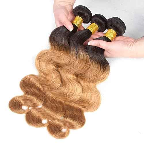 1b27 Ombre Body Wave Human Hair Bundles Two Tone Black and Honey Blonde Bundles Wet And Wavy 100g/Pcs 8A Grade Brazilian Honey Blonde for Black Women 14 16 18 Inch