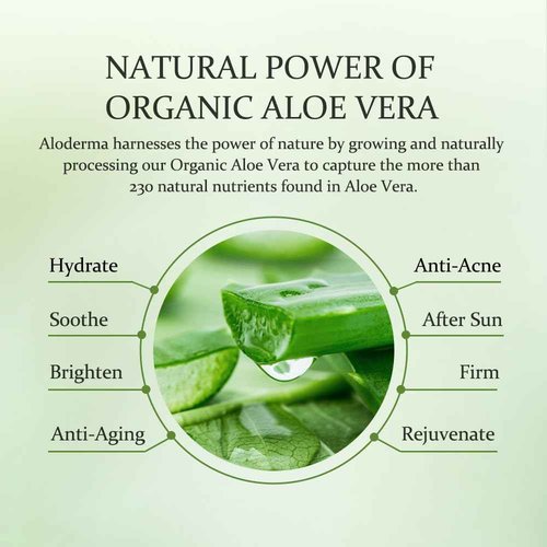 All Purpose Pure Aloe Vera Gels Set - 3 Pieces - 300g Aloe Vera Gel and 114g Aloe Vera Gel x 2pcs