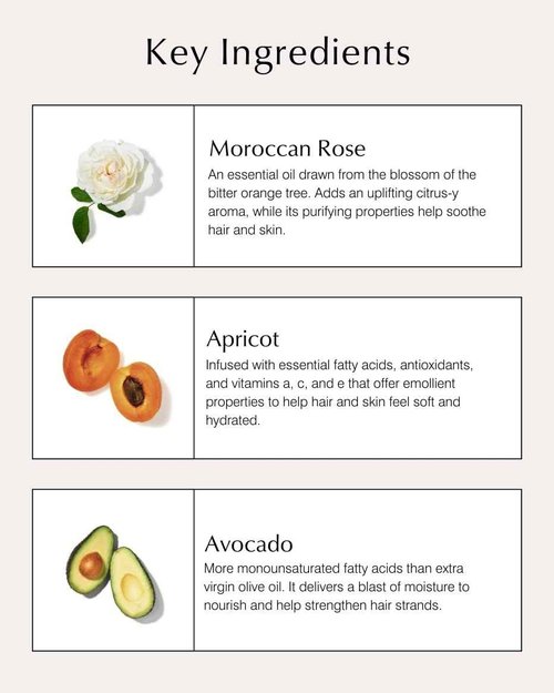 John Masters Organics – Nourishing Hair Mask | Rose and Apricot | Deep Conditioning Hair Mask | Scalp Treatment | Avocado | Silicone & Paraben Free | Cruelty Free| Haircare for Men & Women (5 oz.)