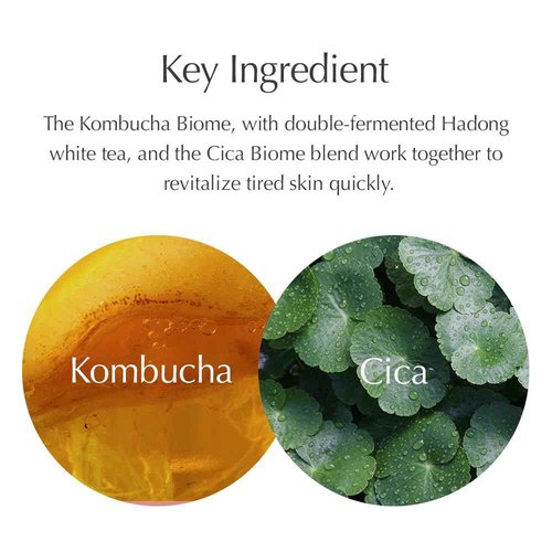 Oniro Kombucha CICA Radiance Essence Facial Toners | Skin Radiance, CICA, Carnosine, Xylitol | The Essence moisturizes and soothes The Skin | Korean Skin Care | 5.07 fl oz