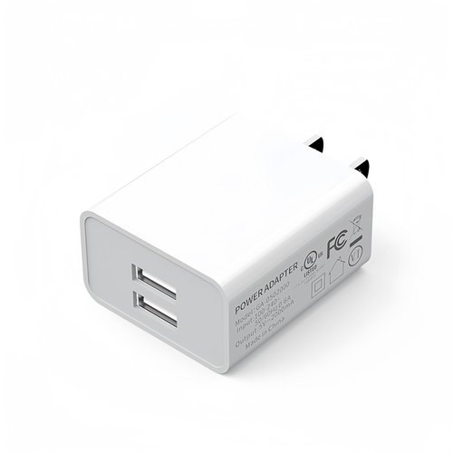 USB Wall Charger for Waterpik WP-580 WP-582 ION, COSLUS C20, Bitvae C6, Nicwell, AquaSonic, Philips Sonicare Cordless Water Flosser - 5V USB Power Adapter