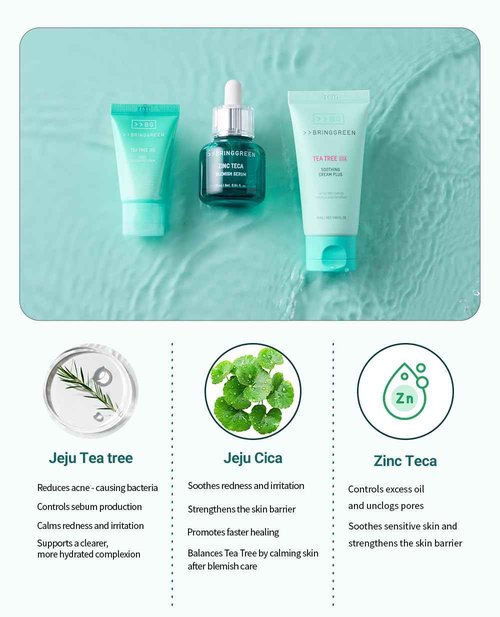 BRING GREEN TEA TREE CICA SET | Korean Skin Care Kit for Acne-Prone, Sensitive Skin | Zinc Teca Serum, Tea Tree Hydrating Moisturizer & Deep Cleansing Foam | Oil Control & Pore Care | K-Beauty Gift
