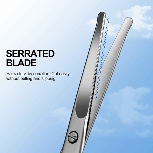 Lobodt 4.1inch round-headed stainless steel small scissors, suitable for trimming facial hair, nose hair, eyebrows, eyelashes, beards, personal care and salon beauty salons (matte silver)