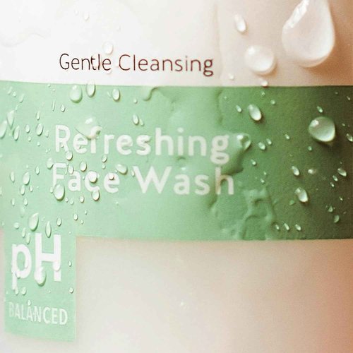 Alpha Skin Care Refreshing Face Wash, Gentle Soap-Free Formula, Citric AHA, Cleanses, Purifies, Tones & Restores pH, All Skin Types, Removes Make-Up & Oil, Anti-Aging Ingredients, 6 Oz, Pack of 2