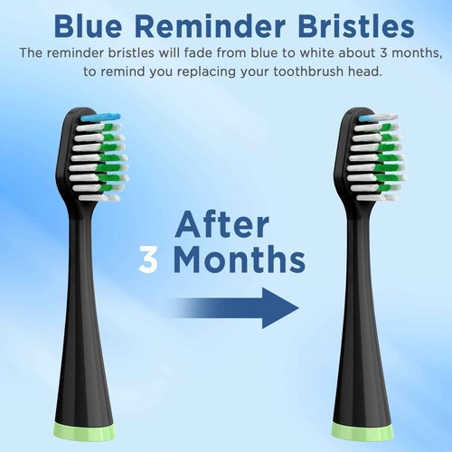 Replacement Toothbrush Heads for Waterpik Complete Care 5.0/9.0 (CC-01/WP-862), with Covers, 10 Count, Black
