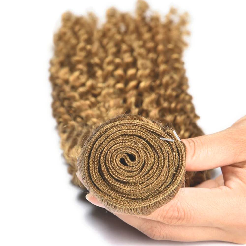 Blonde Kinky Curly Bundles Color #27 Human Hair Bundles Brazilian Grade 8A Virgin Human Hair 3 Bundles 10 12 14 Inch #27 Kinky Curly Bundles Honey Blonde Bundles 300g