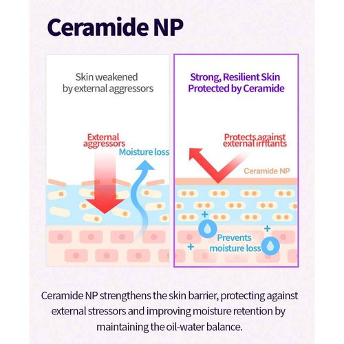 CHARMZONE Topclass Advanced Lifting Special Cream, Lightweight Gel-Cream Moisturizer for Firming, Hydration & Barrier Care, Face & Neck, K-Beauty Anti-Aging, 3.38 fl oz