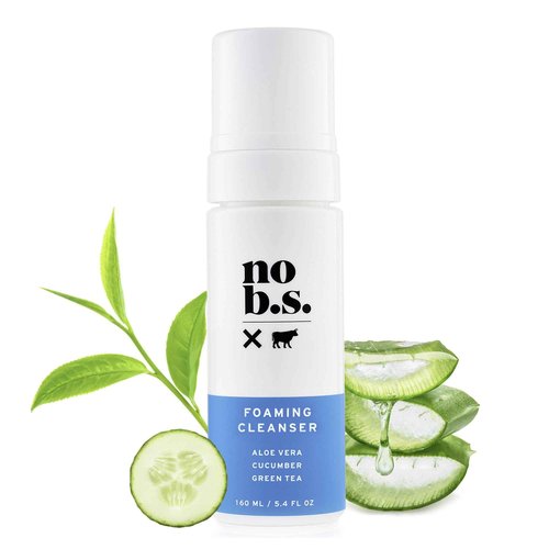 No Bad Stuff - Foaming Cleanser, Natural Face Wash with Cucumber, Green Tea & Aloe Vera, for Oily, Combination, Dry, Normal, Sensitive & Acne Skin, Gluten Free & Vegan, 5.4 FL Oz