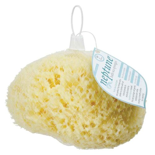 Sea Wool Sponge - All Natural Honeycomb Renewable Sea Sponge, Hand Cut, Jumbo, Approx. 7 Inches (Pack of 2)