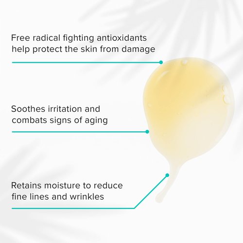 ClarityRx Take Care Daily Antioxidant Red Tea Face Serum, Natural Plant-Based Hydrating & Anti-Aging Facial Treatment for Environmental Protection (0.5 fl oz)