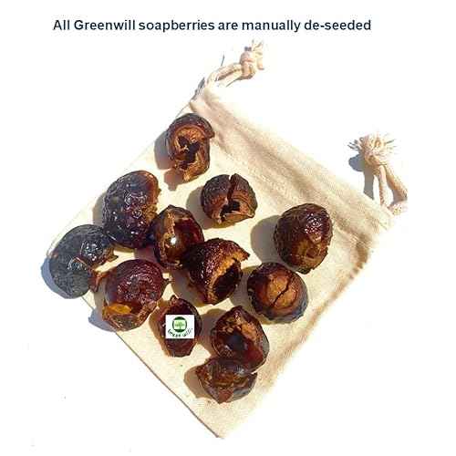 3 Pounds Organic De-seeded Soap Berries/Soap Nuts +2 Wash Bags