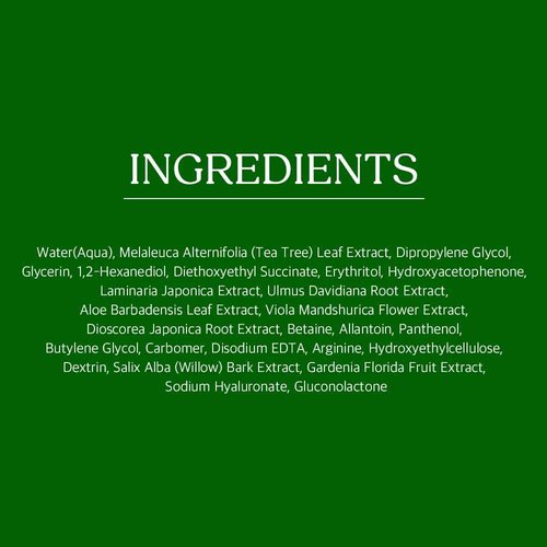 Papa Recipe Tea Tree Toner Pads (Large 3 Inch) _PHA Exfoliating Pads for Clearer, Balanced Skin_Korean Skincare, 70 Sheets