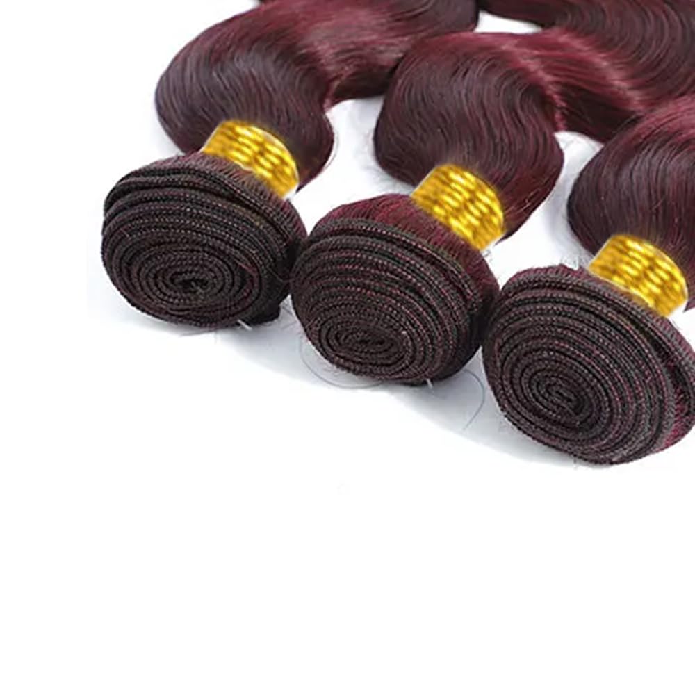 Dark Burgundy Bundles Burgundy Red Body Wave Human Hair Bundles Brazilian 99J Body Wave Bundles Human Hair Unprocessed Virgin Hair 3 Bundles 10 12 14 Inch Red Bundles