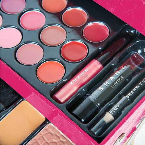 SHANY All In One Makeup Set, 67 Colors Eyeshadow, Blushes, Face Powder, Lipstick, Eye liners, Make up Pencils and Cosmetics Mirror - Makeup Kit With Reusable Beauty Organizer Train Case - Pink