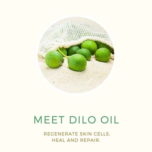 PURE FIJI Dilo Rescue gel moisturizer for body and face, Moisture Rescue Refreshing Gel-Cream for Dry Skin - Hydrating Moisturizer for Women and Men, 8 Ounce