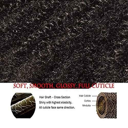 SAEIALL 4C Afro Kinky Clip Ins Mongolian Human Hair Afro Curly Clip On Hair Extensions 120g/set Mongolian Virgin Remy Human Hair 4c clip ins (14inch, natural black)