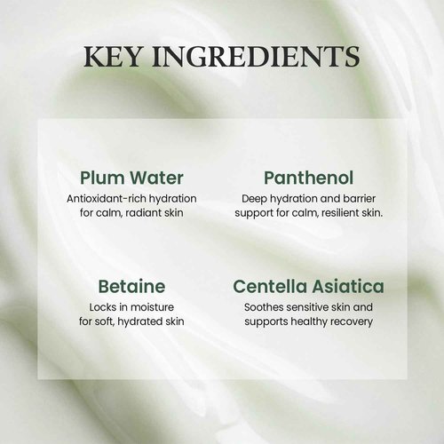 The Skin House Plum & Panthenol Calming Moisturizer for Sensitive Skin | Redness Relief, Soothing Hydration & Barrier Support | Lightweight, Non-Irritating Daily Face Cream [70ml,2.37 oz]