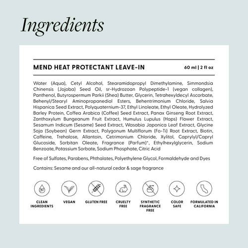 Arey Mend Heat Protectant Leave-In Conditioner | Detangles, Rehydrates, Strengthens and Protects Hair up to 450°F | Vegan, Cruelty-Free & Gluten-Free (2 Fl Oz)