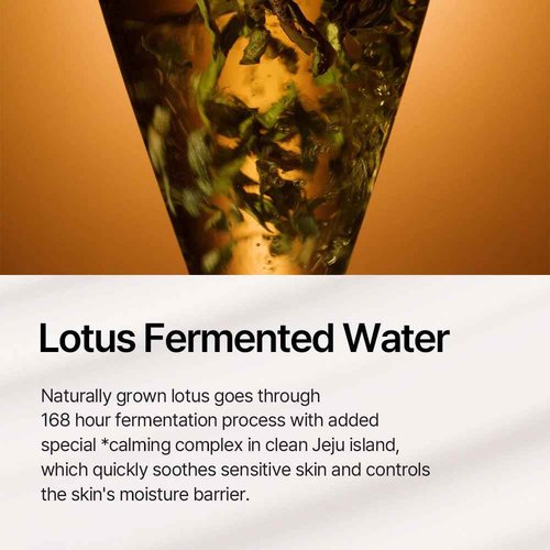 THEPURELOTUS YOUTHBIOTICS Lotus Concentrate with Centella, Premium Korean Vegan Probiotic Anti-Aging Serum Sensitive Skin –, Panthenol & Adenosine 80ml