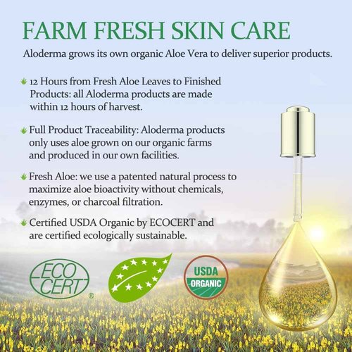 All Purpose Pure Aloe Vera Gels Set - 3 Pieces - 300g Aloe Vera Gel and 114g Aloe Vera Gel x 2pcs