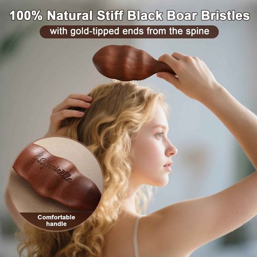 Lynnieëlle Premium Solid Wood Hair Brush, Nylon & Boar Bristle With Cushion Base, Exquisite Design, Detangling Hairbrush for all hair types