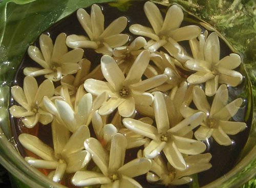 Monoi De Tahiti Oil-100% Natural-8 oz