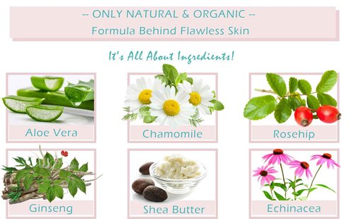 Face Cream Anti Aging Royal Jelly - Natural & Organic Ingredients, Face Moisturizer for Dry Skin, Anti Aging Cream for Face, Anti Wrinkle Cream for Women & Men – 1.7 oz