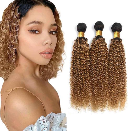 20 22 24 inch 1B27 Honey Blonde Kinky Curly Human Hair Bundles Ombre Blonde Curly Wave Bundles Human Hair Unprocessed Brazilian Virgin Weave Hair Bundles Kinky Curly Bundles Human Hair