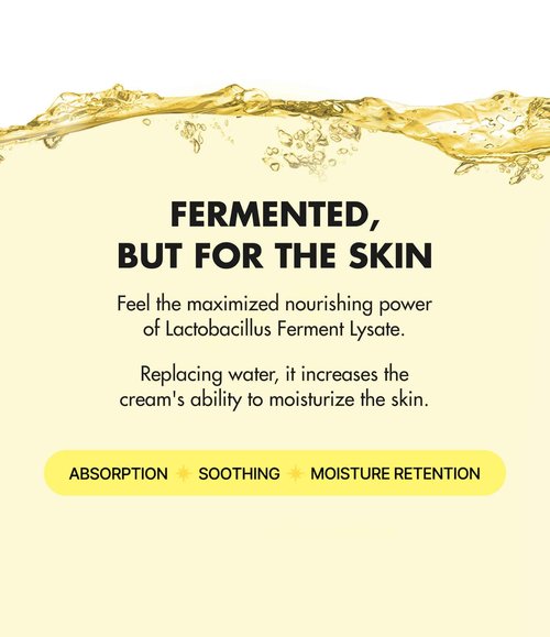 BY WISHTREND Propolis Energy Balancing Cream | 10% Propolis, Face Care for Oily Skin, Improves Skin Barrier, Rich in Antioxidant, Lightweight Texture, Probiotics Moisturizer 1.69 Fl Oz