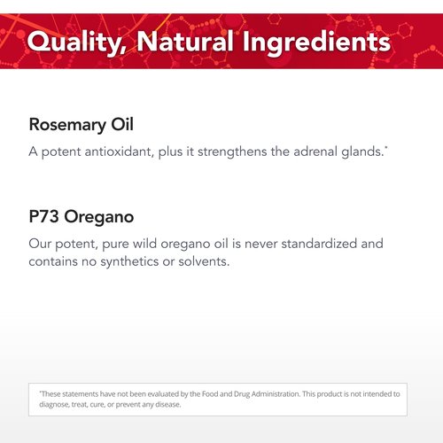Physician's Strength Wild Rosemary Oil - 1 fl oz - Edible Wild Rosemary - Chemical Free - 432 Servings
