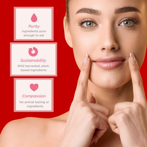 Ellovi Natural Lip Butter Lip Balm - Wild Rose Tinted - Pure Enough to Eat - Made With Just 6 Vegan Ingredients - Tinted Moisturizing Lip Care for All Day Hydration (2-Pack)