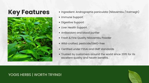 YOGIS HERBS Nilavembu Powder - Andrographis paniculata - 1 lb – Fresh & Pure