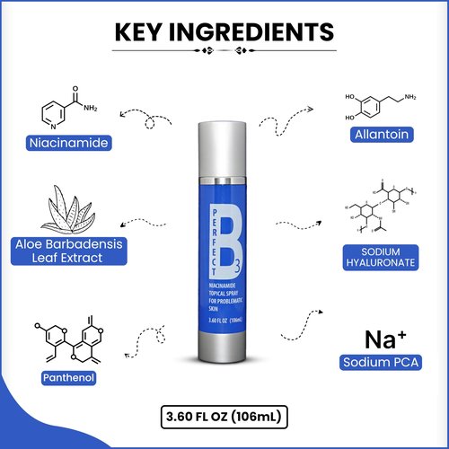 Perfect B3 Niacinamide Face Spray – Topical Mist with Hyaluronic Acid, Glycerin, Vitamin B3, and Aloe for Skin Clarity, Texture & Hydration – Gentle Niacinamide Serum Alternative – 3.6 fl oz
