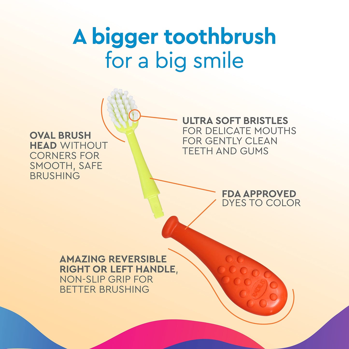 RADIUS Big Kidz Forever Brush with Replaceable Head Toothbrush for Children, 6 Years and Up, BPA Free ADA Accepted for Growing Teeth and Gums - Right and Left Handed, Extra Soft