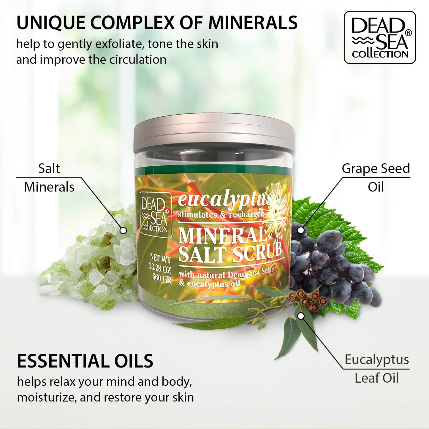 Dead Sea Collection Eucalyptus Salt Body Scrub - Large 23.28 OZ - with Pure Oils and Dead Sea Minerals