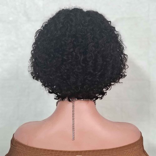 Adette 13x4 Lace Frontal Wig Water Wave Human Hair Wigs for Black Women Ear To Ear Lace Front Wigs Natral Black Color (12 Inch)