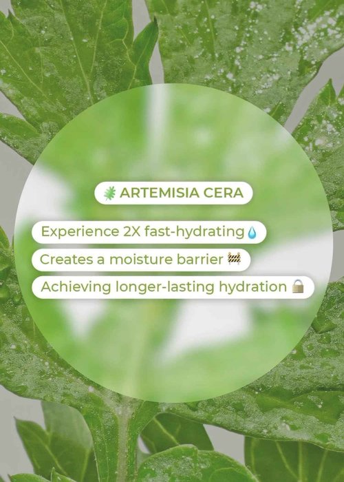 BRING GREEN Artemisia Cera Calming Moisture Toner Pad | Vegan Daily Skincare Routine for Redness Relief, Skin Balancing, Extra Calming, Exfoliating, Mask Sheet Type Toner Pads, 90 Count