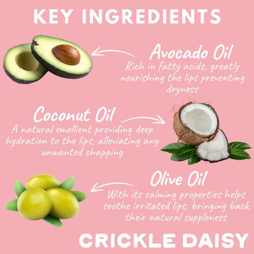 Crickle Daisy Lip Treat Balm - Hydrating & Nourishing Lip Balm with Avocado, Olive, and Coconut Oils - Softening Lip Moisturizer & Protection for Very Dry Lips - 1x Sugar Blossom & 1x Chocolate, 0.7oz